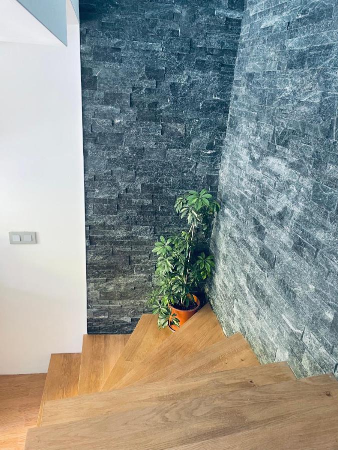 Duplex Dent D'Oche Apartment Bernex Exterior foto